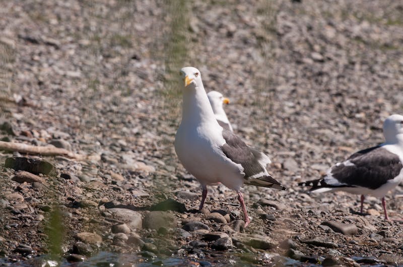 Professional drain cleaning service