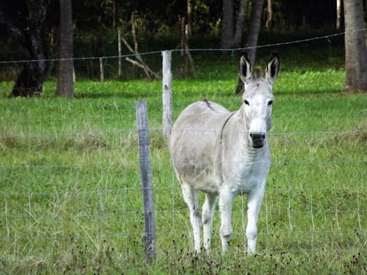 New pipes after professional replacement