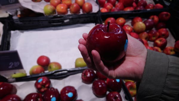 New tankless water heater installed