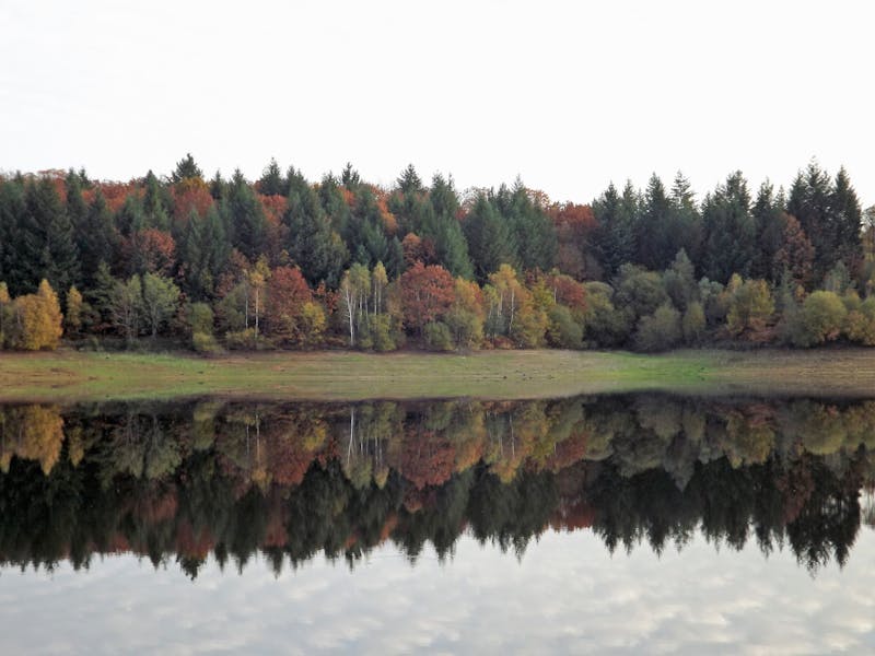 Pipe repair and replacement