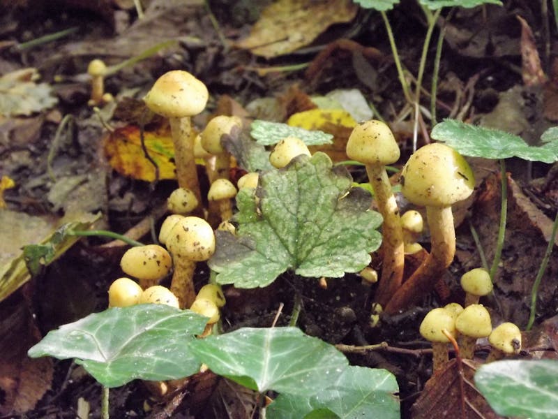 Water heater installation and repair